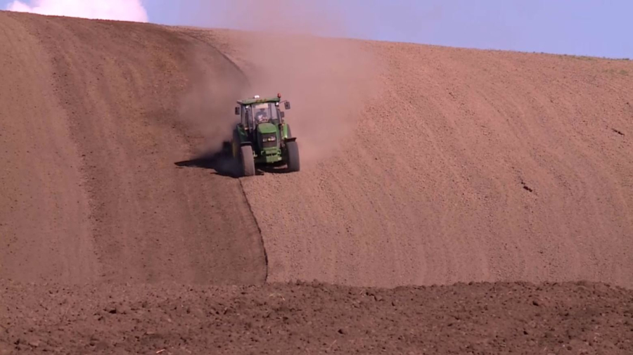 Жетісу облысында майлы зығыр өсіріле бастады 