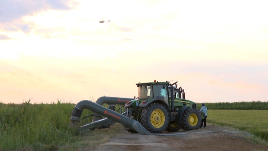 Спасатели помогают аграриям с поливом в Кызылординской области