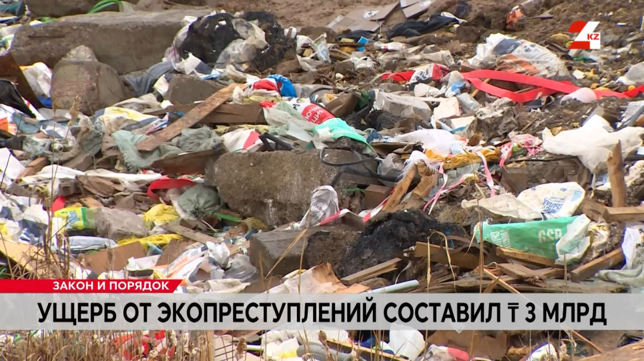 Ущерб от экопреступлений составил ₸3 млрд