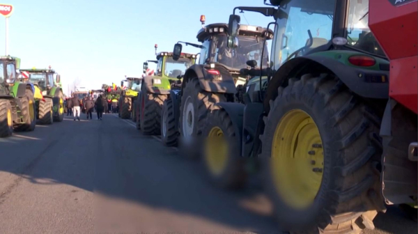 Румынияда шаруалар мен жүргізушілер шеруге шықты