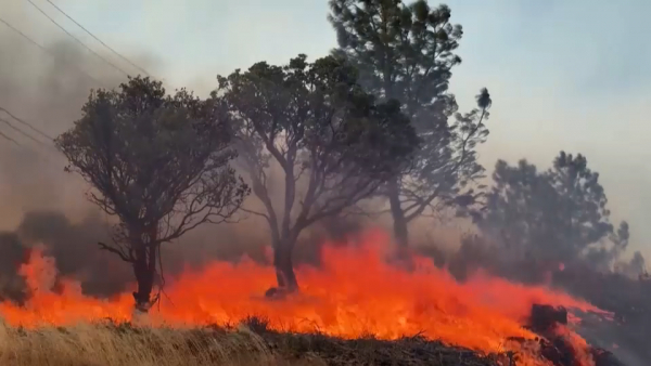Масштабные лесные пожары бушуют в Калифорнии
