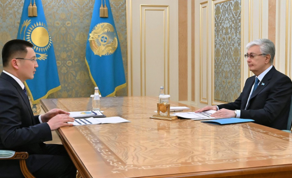 Мемлекет басшысы Павлодар облысының әкімін қабылдады