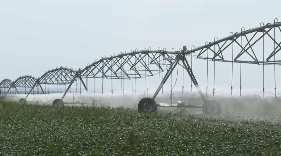 Жетісу облысында 500 мың гектардан астам жер игеріледі