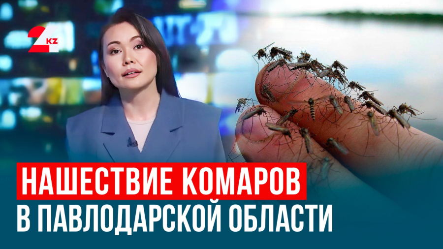 Попались на фейк! Напрасный гнев вызвало ИИ-фото с машиной на Балхаше