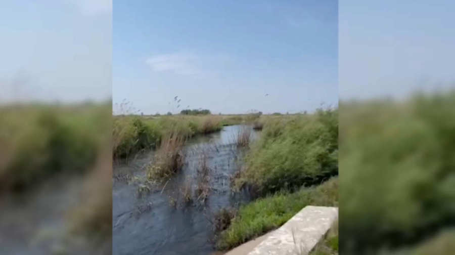 Крупнейшее обводнение лиманов проведено в Павлодарской области