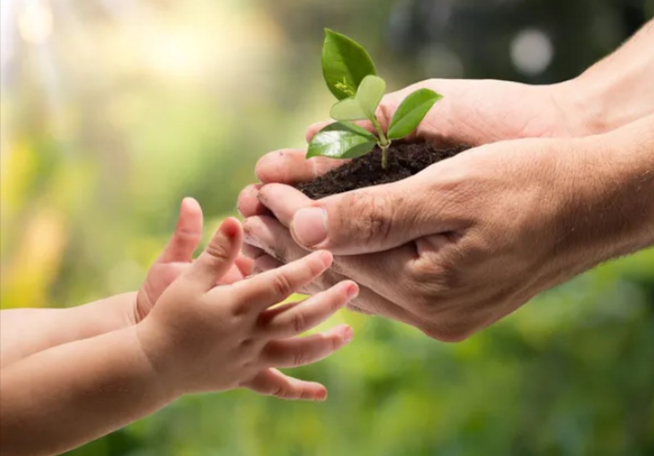 Число «Зеленых детских садов» растёт в Казахстане