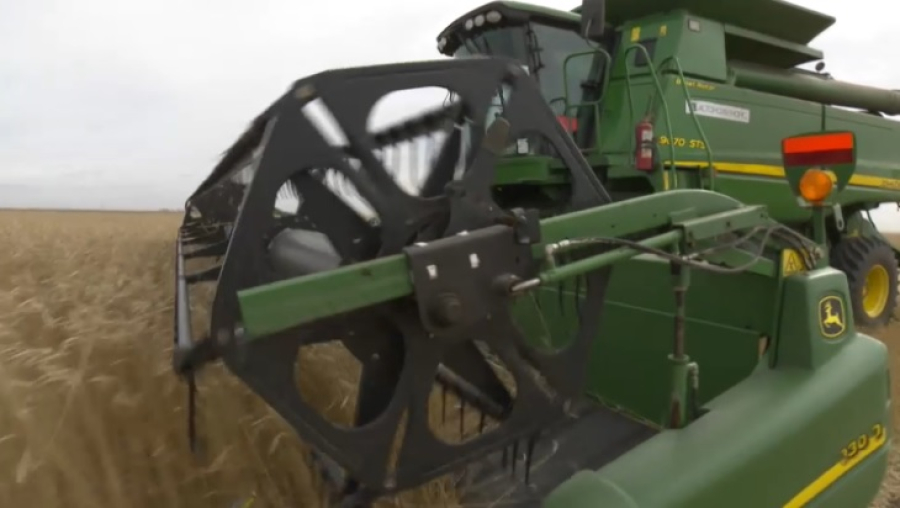 Почти 900 тысяч тонн дизтоплива выделили на полевые работы