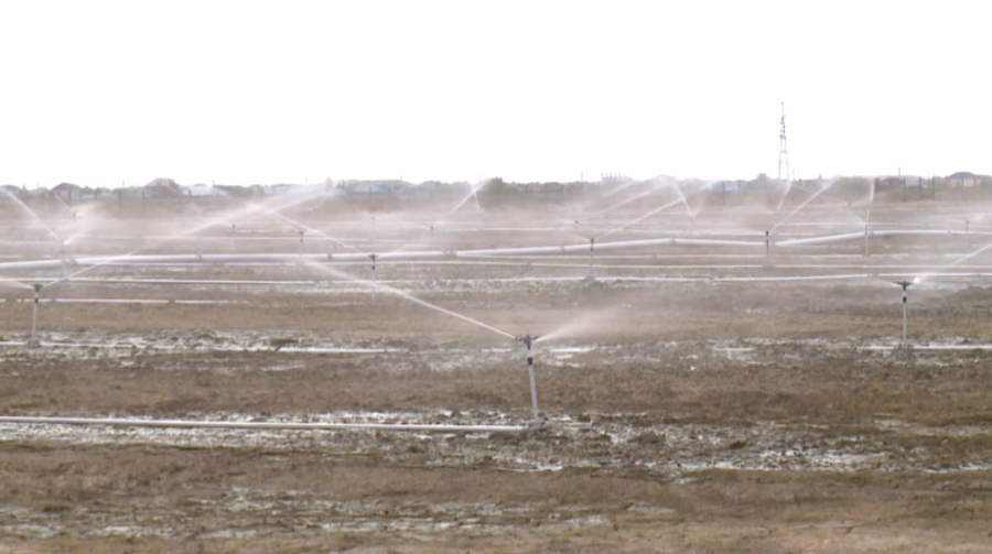 Какие меры принимают по управлению водными рисками