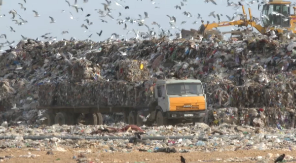 Елімізде «EcoQolday» жүйесі іске қосылды