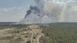 Лес снова загорелся в природном резервате Абайской области