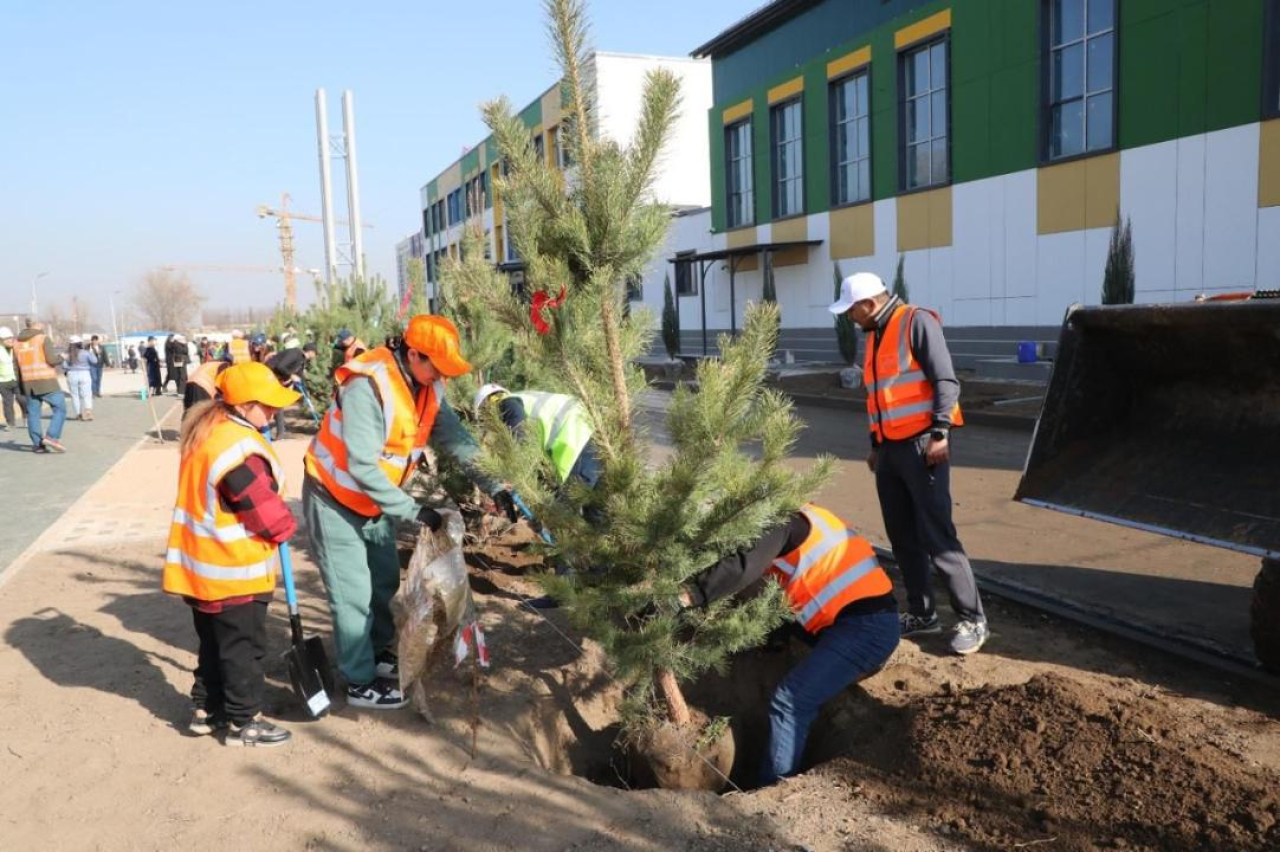 Более 500 деревьев высадили на территории новой школы в Алматы
