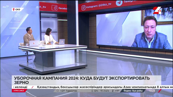 СКО уборочная кампания 2024: куда будут экспортировать зерно