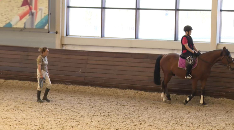 Конкуршылар аттарды қалай дайындайды?