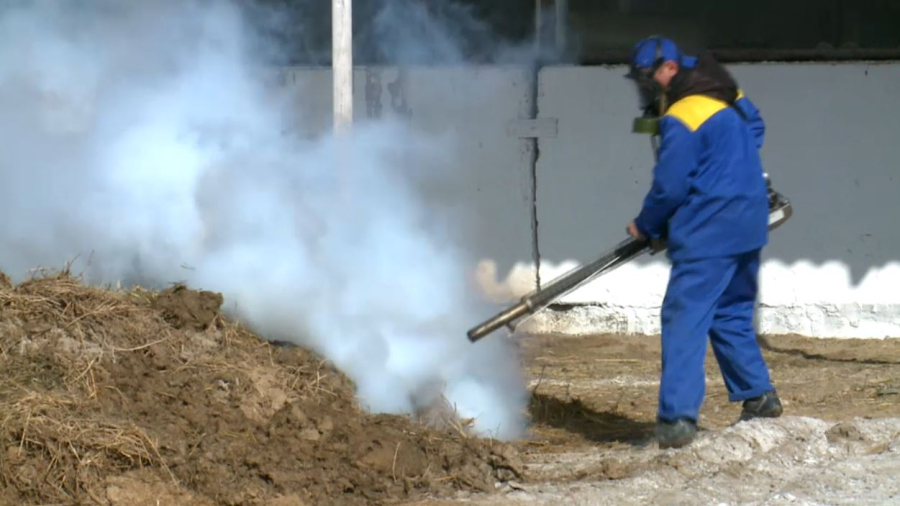 Қызылорда облысында 111 елді мекенде кенеге қарсы залалсыздандыру жұмыстары басталады
