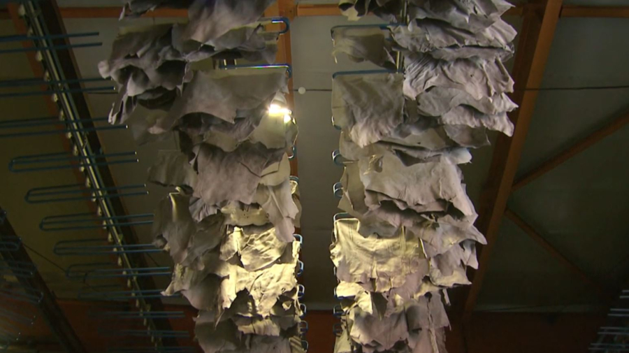 Тері мен жүн экспортына баж салығы салынбайды