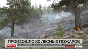 Почти 80 лесных пожаров произошло в Акмолинской области за 4 месяца