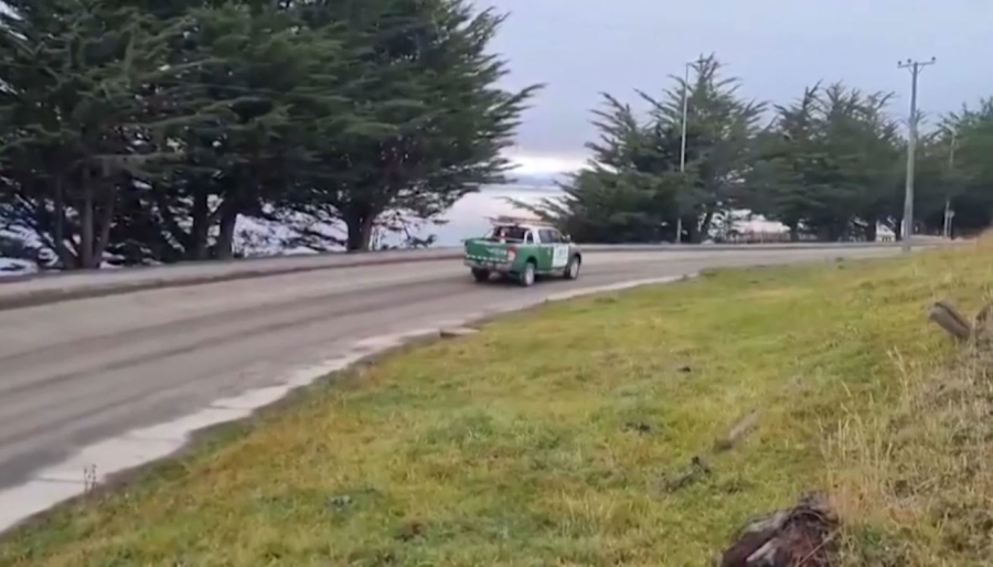 Аргентина мен Чилиде цунами қаупі жарияланды