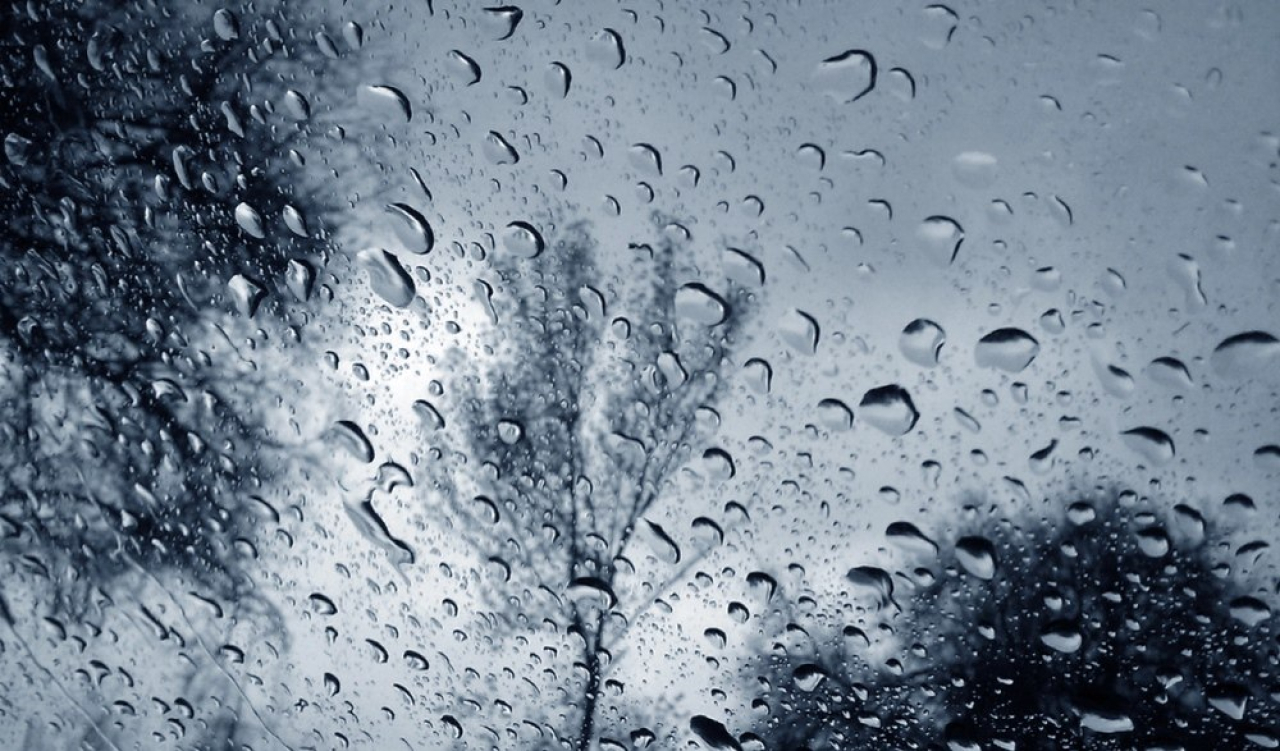 Дожди прогнозируют на востоке Казахстана