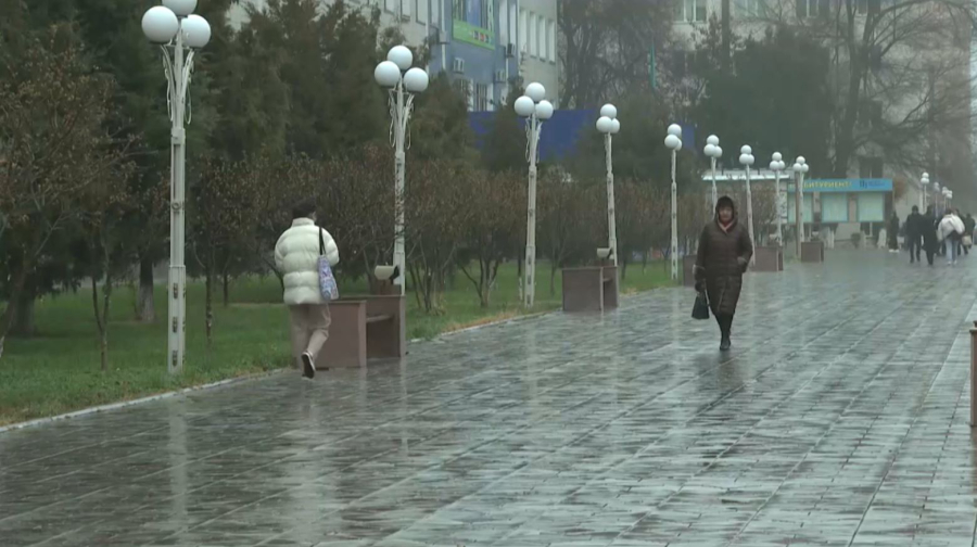 Дождливую погоду прогнозируют синоптики в Казахстане