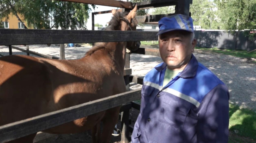 Биыл СҚО-да 22 ветеринариялық пункт ашылады