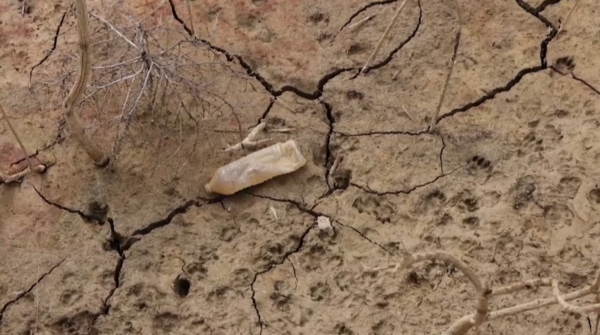 Как борются с сильной засухой в регионе Андалусия