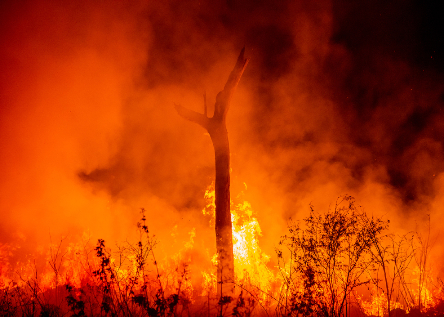 Лесные пожары в Канаде уничтожили более 400 жилых домов