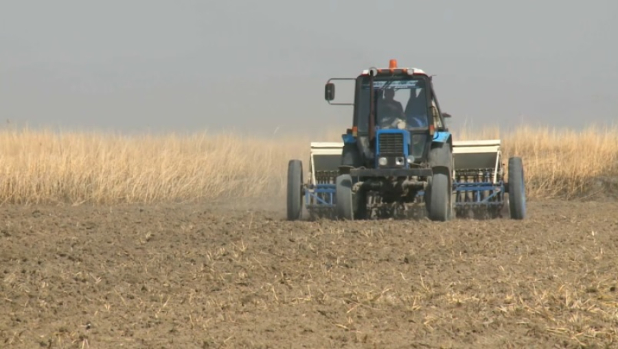 К весенне-полевым работам приступили в Кызылординской области