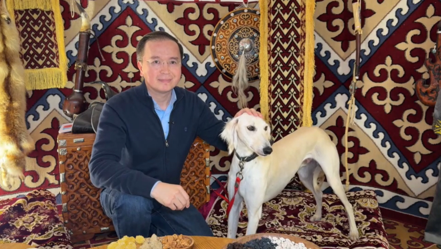 Тазы представлены на World Dog Show-2026. LIVE