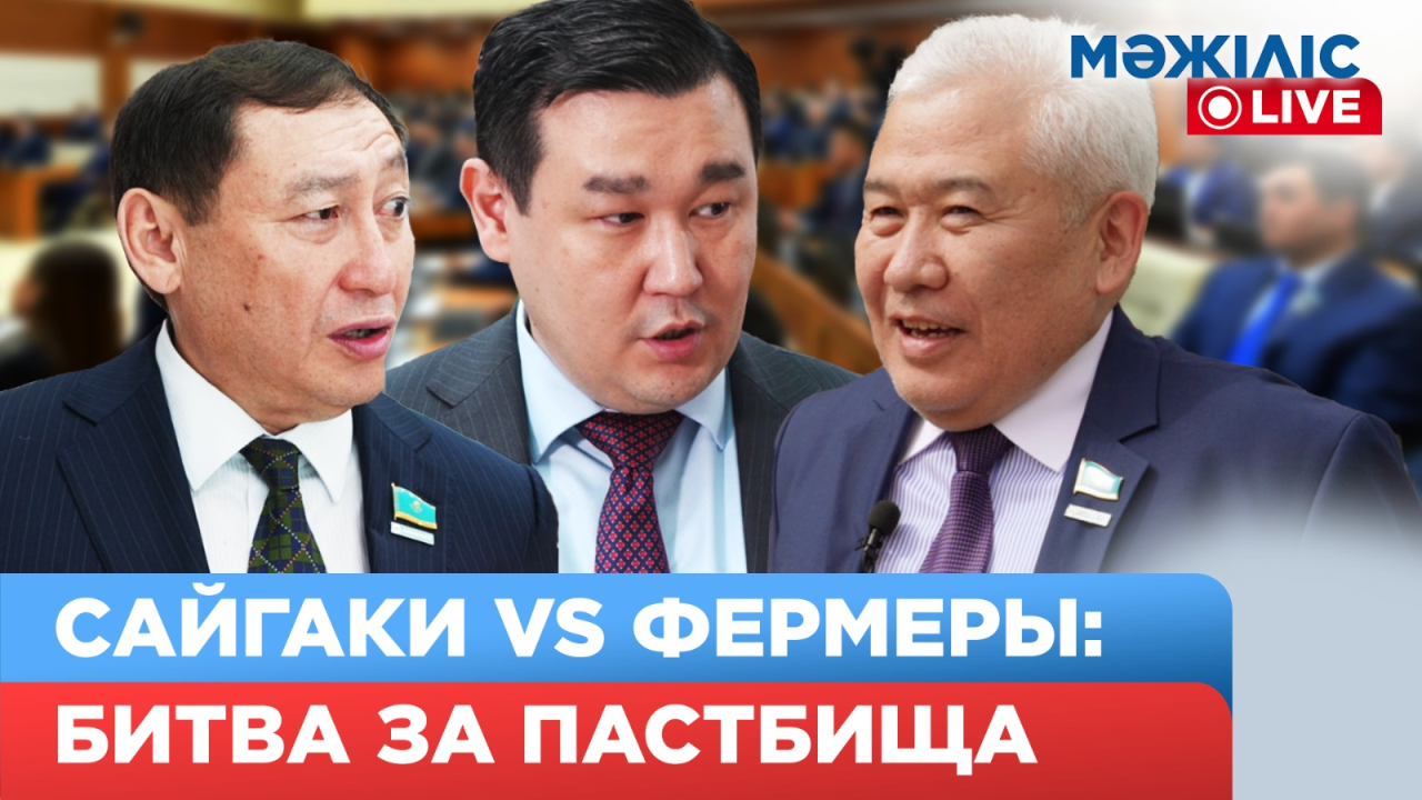 Нашествие сайги. Наглые браконьеры. Безответственные аграрии | Мәжіліс Live