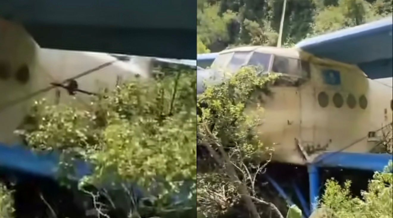 Алматы облысында Ан-2 ұшағы таулы аймаққа апатты жағдайда қонды