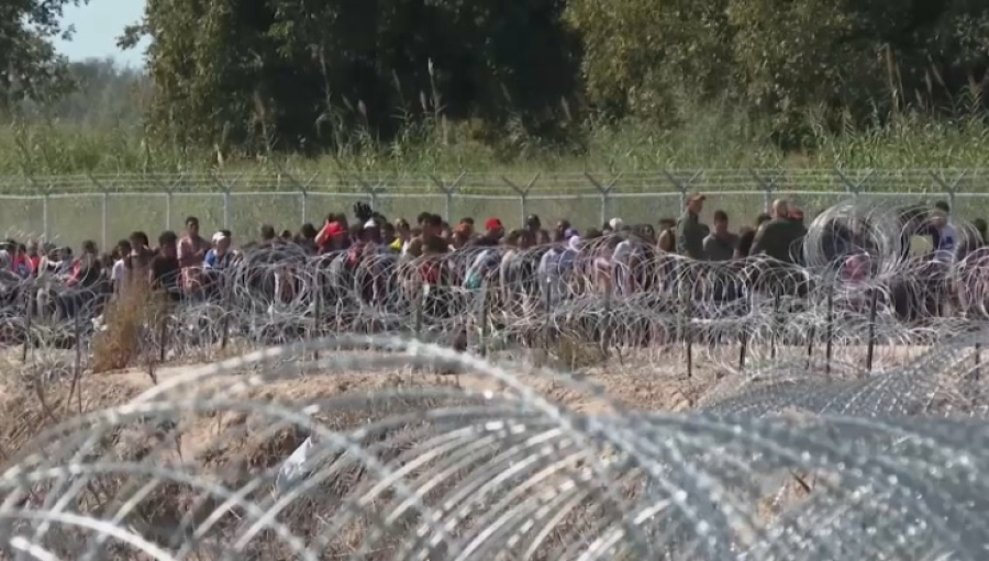 1,5 млн нелегалов покинули США с начала года