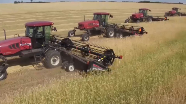 40 млрд выделило Правительство для поддержки зерновой отрасли