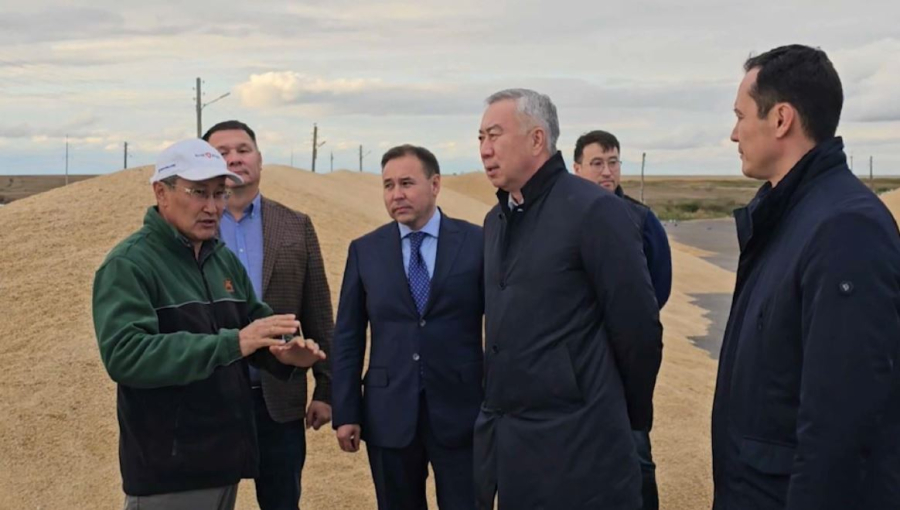 Елде «Игілік» бағдарламасы іске қосылады