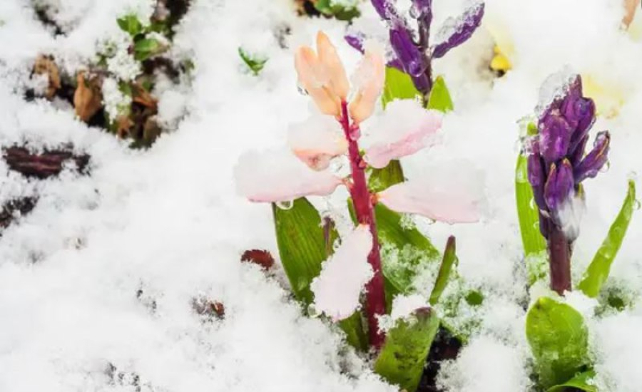 Штормовое предупреждение объявлено в Казахстане