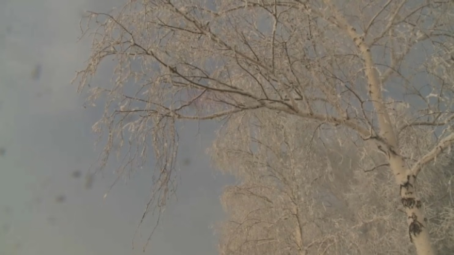 Штормовое предупреждение объявлено в 14 регионах