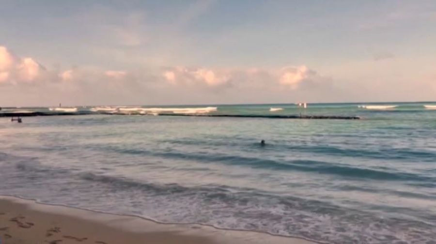 120 афтершоков зафиксировано за сутки на Камчатке