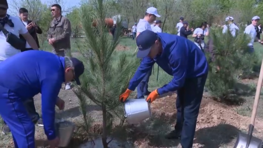 В Жезказгане посадили тысячу деревьев в честь 80-летия Победы