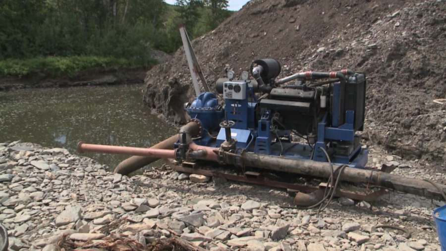 ШҚО-да алтынды заңсыз өндіргендер ұсталды