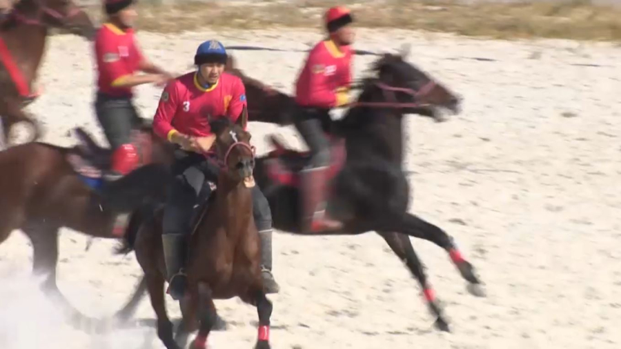 Көкпар жарыстарының саны артты