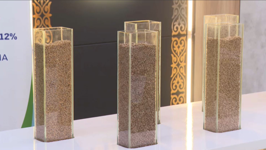 Елімізде тұңғыш рет агротехнопарк ашылды