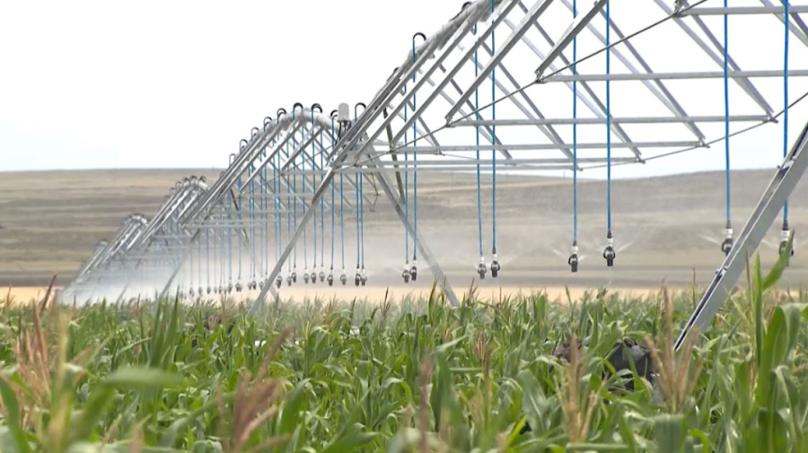 Казахстан выходит на рынок углеродных единиц