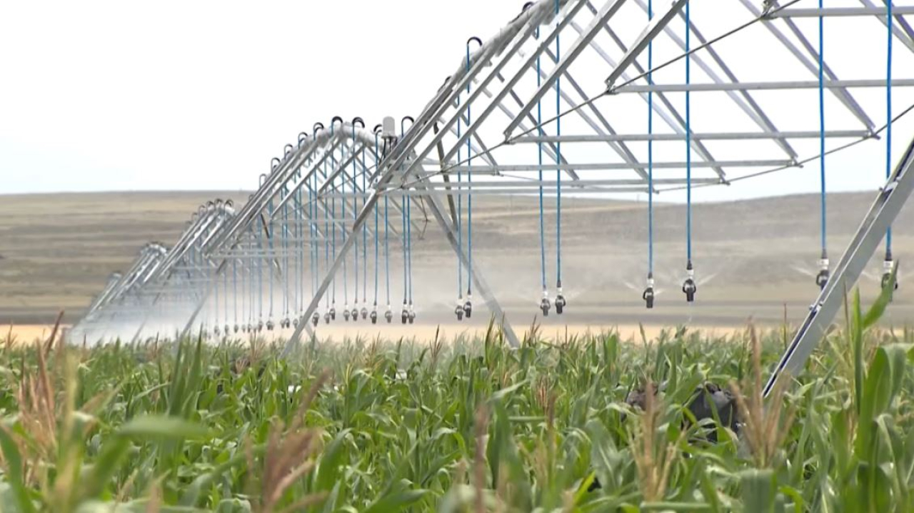 Казахстан выходит на рынок углеродных единиц