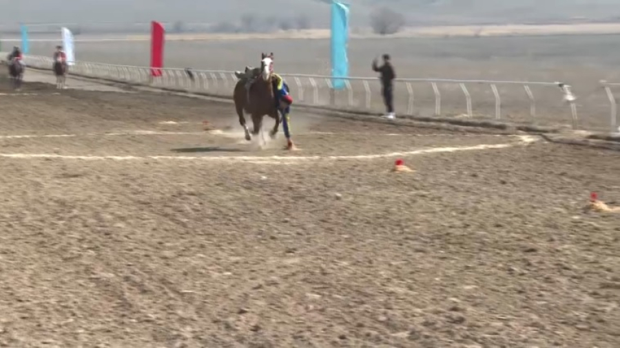 Талдыкорганцы состязались в национальных видах спорта