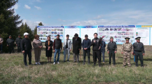 Алматы облысында 10 мың түп шырша көшеті егілді