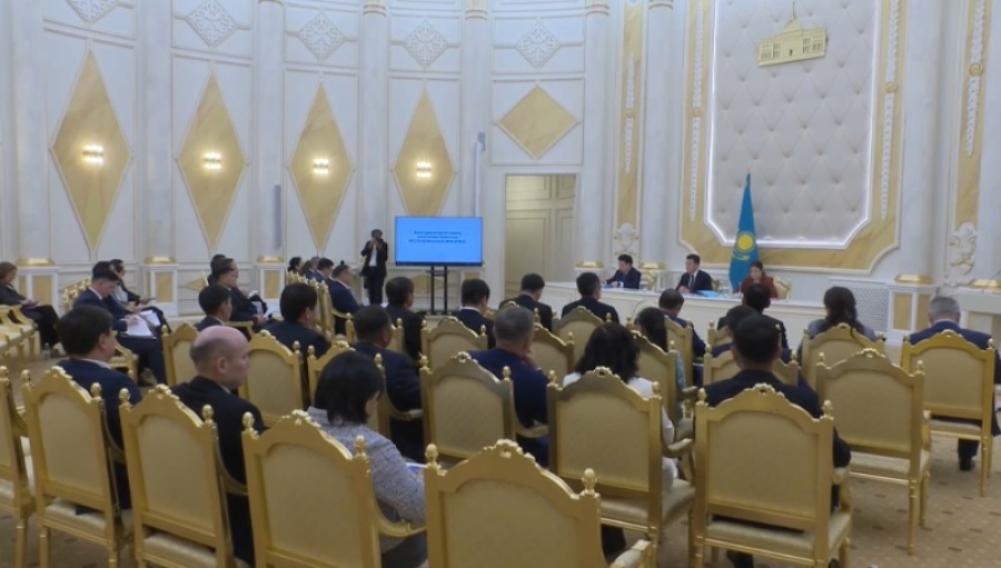 Карин провел республиканское совещание по вопросам защиты прав детей