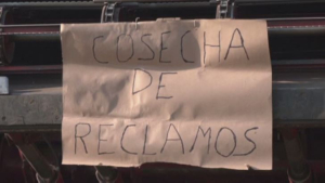 Фермеры в Аргентине вышли на протест из-за засухи
