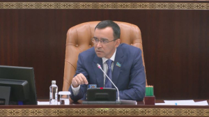 М.Ашимбаев раскритиковал эффективность специальных экономических зон