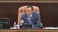 М.Ашимбаев раскритиковал эффективность специальных экономических зон