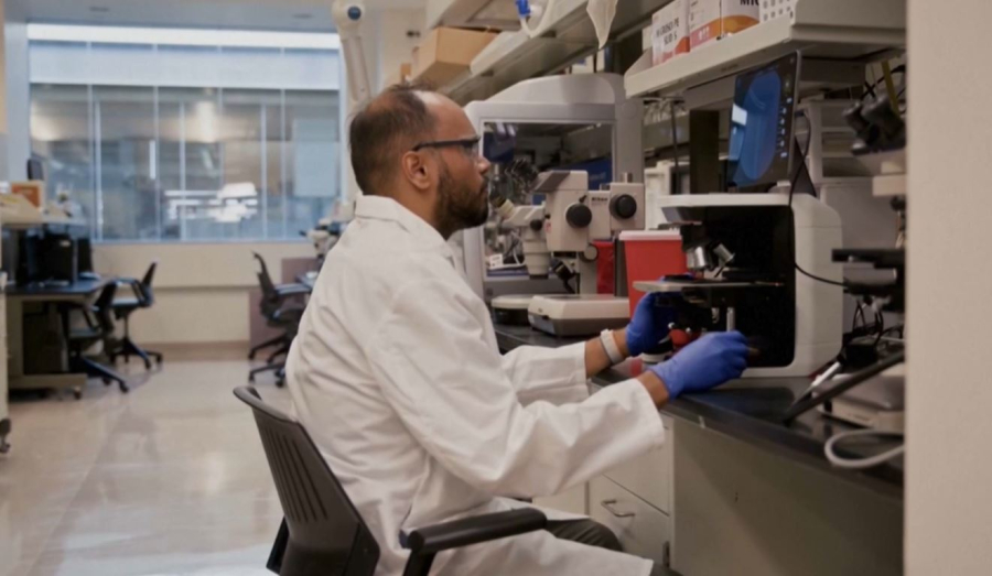 Инфекцияның 40 пайызына антибиотик әсер етпейді