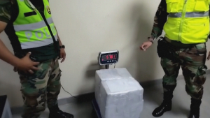 58 кг кокаина в брикетах со свастикой обнаружили в Перу